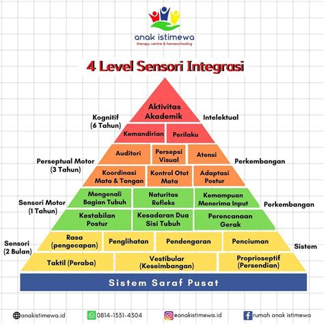 sensori integrasi akord progresif vokal falsetto informatif kemasan ekonomis Namun berbeda VIP akses penuh image 4