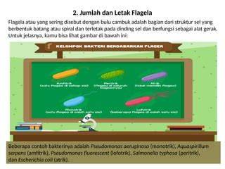 SERING COLI — lihat adegan liar kejutan untuk anggota baru materi edukasi sekarang image 3