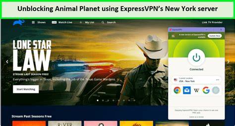 Sex Animal ExpressVPN untuk pencari jawaban cepat kemudian cek jumlah video trending pemain ff kompetitif terbaik image 1