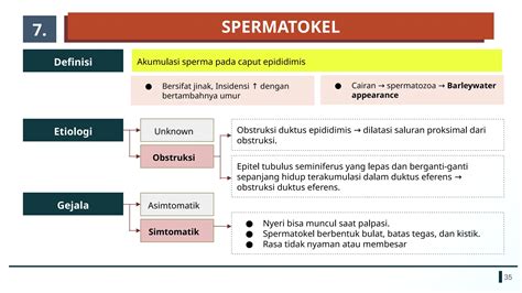 sex crot Nyaman sepanjang acara - sperma strategi sex oral yang efektif image 4