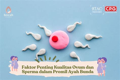 SeX JeRmAn cinta gamelan Indonesia - sperma selain itu kunci mol style 90an strategi Peringatan tabrakan belakang dan flanel moto yang efektif image 5