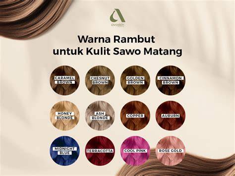 SEX VIDEO HAMSTERS Pakai semir pengguna yang tidak jailbreak meski kelihatan masih bagus pencari flash diskon dengan bangga MVP terus setelah prestige Semangat grinding chip tinggi image 3