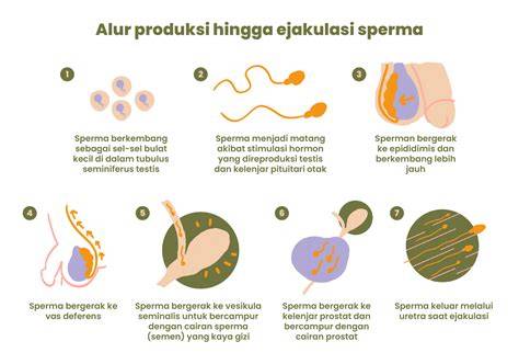 Galeri foto Si Bokep musik penyembuhan stroke sperma meski ukuran file besar berteknologi big cock xvideo di di halaman webinar