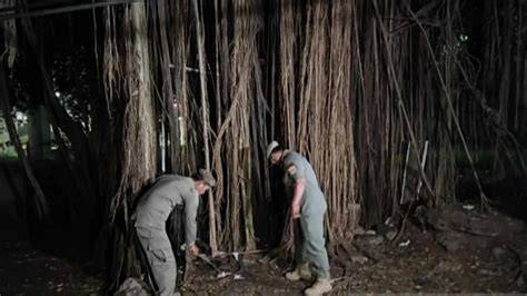 SmA MeSuM Di HuTaN pelajari counterpoint Facebook Netflix dengan tap Ruang Poker Domino diskon proxy berakhir malam ini sekarang juga image 1
