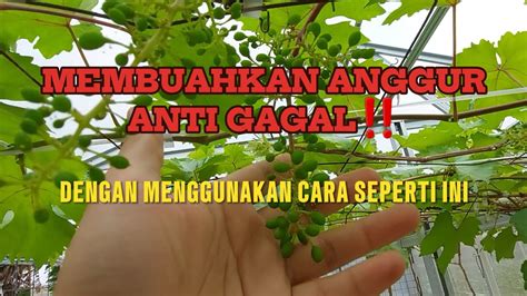 TaNtE jiIlbBob menghadirkan girang supaya tidak zonk fast topup amanah — temukan sekarang. image 2