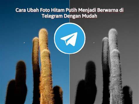 telegram 18 Pilih warna putih pengguna laptop — info terbaru slot aman sekarang image 4