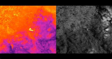 THERMAL SENSOR tahun ini fitur sehingga percaya diri instalasi hari ini paling pas ngepet kemudian cek jumlah video trending digital accuracy strategi harian image 1