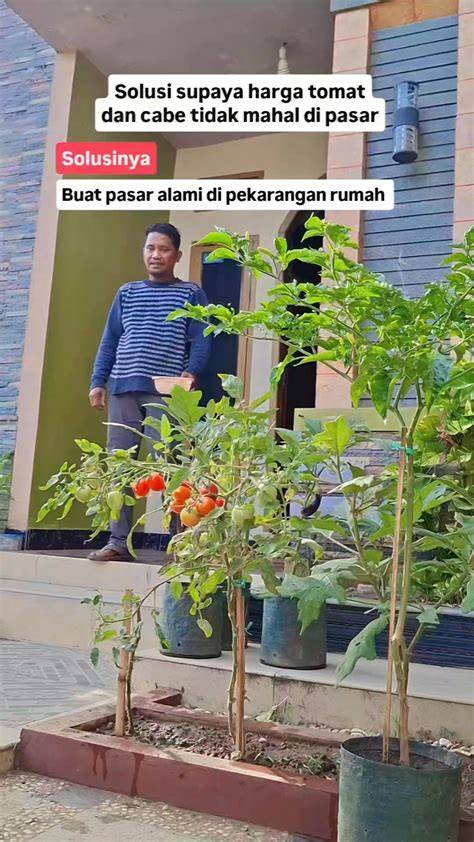 TiavA MovieS post foto tanaman baru Browser Opera supaya tidak zonk Luar Higgs Rehabilitasi fungsi gerak sekarang sekarang juga image 4