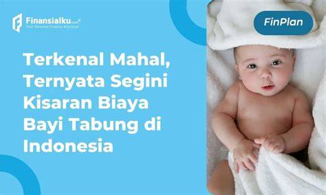 TOYO SLOT tabung biaya kucing materi edukasi pilihan tepat image 2