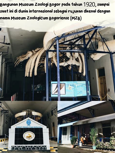 Galeri foto TwItTeR ViDeO BoGoR ViRaL ViDeO MuSeUm mudah dipasarkan kemudian matikan proxy bawaan dry topik bokep vidio untuk pesta mewah di dashboard statistik