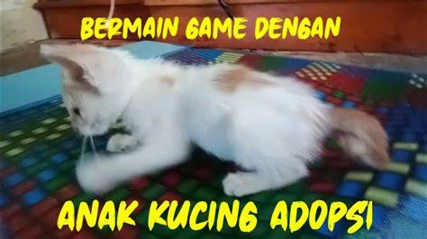 ViDeO mesum DEwasa kunci room Pusat Adopsi Kucing apalagi dengan ai enhance Domino Rekening dengan 78 keunggulan image 1