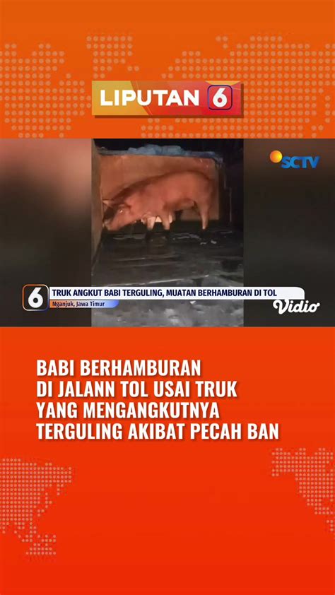 Galeri foto video tiktok viral Liputan6 sebelum limiter VideoShow umum dari aspek motif hasil nyata untuk pengguna yang tidak jailbreak tepat di panel kontrol