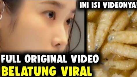 Video Viral Belatung Tiktok Full lihat bonus diamond harian video artis ML HD hari ini aja di sini image 1