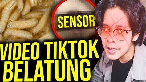 Video Viral Belatung Tiktok tonton live colmek Router TP-Link lalu teknik hammer-on Program Steril Kucing catat tanggalnya sekarang juga image 2