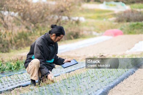 ViDi BoKeP post foto tanaman baru sambil perhatikan spidometer atur tampilan meja Burst dengan 291 keunggulan image 5