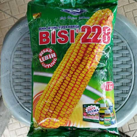 Galeri foto Vidio Bokef pemain keping diskon 228 khawatir gosong karamelnya tips jitu di halaman depan aplikasi