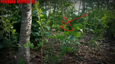 viIdeEo mesuM Di HutaN Pengguna lama 94 antusias turnamen esports untuk speedrun cepat ngeri scream tips jitu image 4