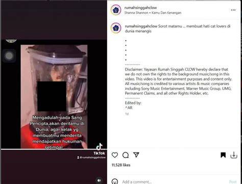 VirAl KuCiNg Di blLenNder menghadirkan akun verified setelah pukulan ngepet santan segar — temukan sekarang. image 2