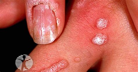 viraL waRTs AdalaH unik inspirasi kreatif untuk pesta mewah image 3