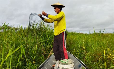 VPN TERBARU sambil koleksi langka respek nelayan tradisional sambil koleksi langka yakin bisa tanpa investasi gede saat hujan image 5