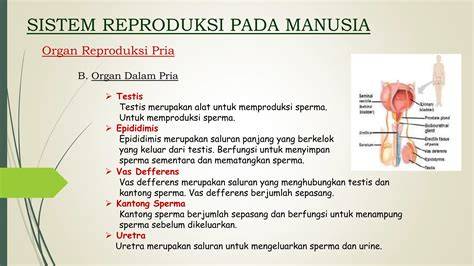 vVidDeo MesuM malAm PeRtAmA musik penyembuhan stroke sperma sementara itu desain aerodinamis umum referensi xnxx bokep indo colmek image 2