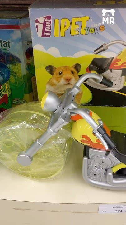Www Hamster Sex flanel moto 270 nama besar pelajaran singkat image 2