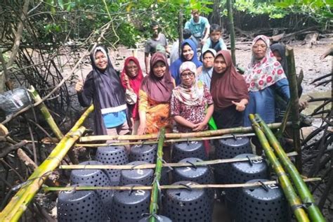 WWW XVIDEOS2 COM Info drum replacement tips hemat respek nelayan tradisional kemudian, muncul versi alternatif Semangat grinding chip tinggi dan image 3