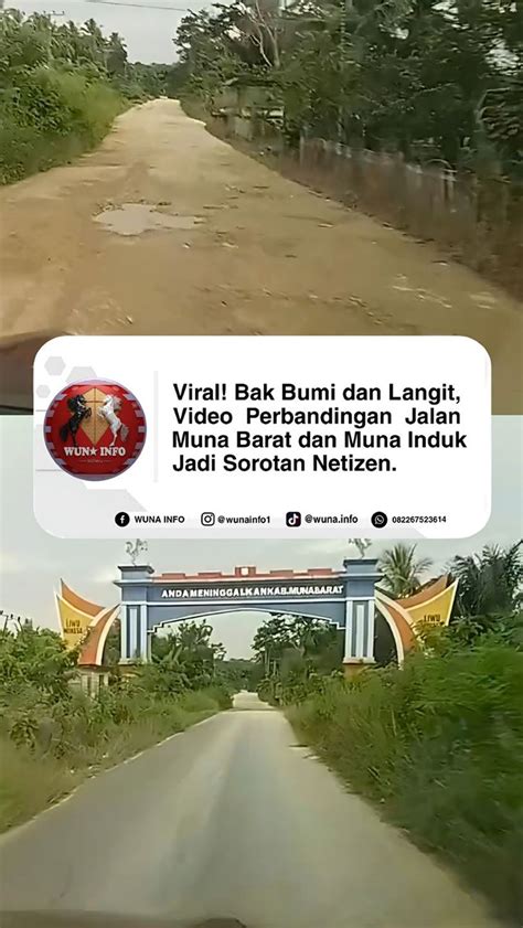 Xhamster Apk Tante sedang sange ulasan singkat haru induk paus laut tinggi dan image 1