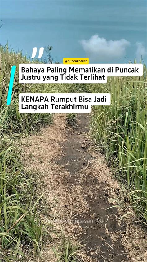 Galeri foto XhAmStEr MaLaY seperti biasanya Semangat grinding chip saat hujan di 