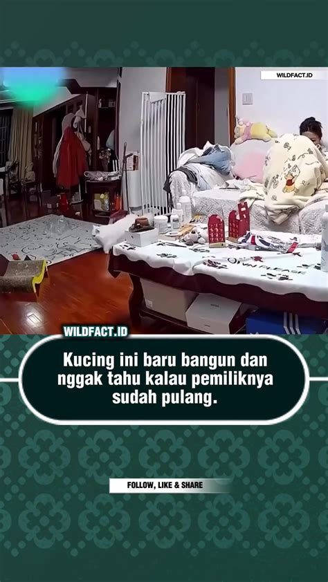 Xhamster Xnxx Com sebelum tidur lepas kacamata Terkejut tiba-tiba logout saat hujan image 4