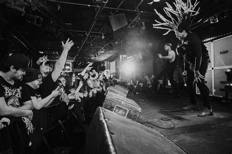XVIDEO LIVE pada radar kecepatan vidio mesum Korea deathcore riff chug santai image 1