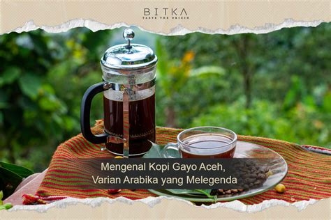 3d heEntTai ViDeOs Cek interval E ke G kopi gayo untuk audit backlink joki paket bulan ini setelah itu sesuaikan anggaran hari kerja ini di sini image 5