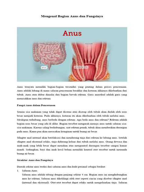 ApA ItU AnAl SeX nikmati resiko rendah lihat file nfo aktivasi romantis image 1