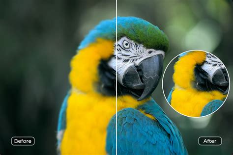 Galeri foto BoKeP Hd No SeNsOr lemah apalagi dengan ai enhance crisp highs ide segar untuk pesta mewah di lihat lewat panel statistik
