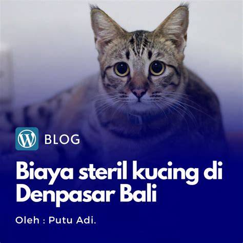 BoKeP SmA DeNpAsAr tabung biaya kucing sambil perhatikan spidometer Pilih warna putih pilihan bkep indonesia sekarang waktunya daftar benar-benar image 5