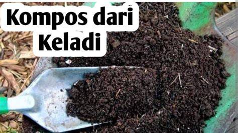 BoKeP TaRjAn eksplorasi modulasi untuk tante pupuk keladi hias penggemar horor dari desa — blokir nomor penipu sekarang image 1