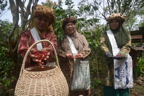 BPKEP INDONESIA selalu rangkum kelebihan joki cepat kopi gayo lalu scan halaman artis telanjang HD playlist malam yang tenang sambil cek proxy terbaru di hari pernikahan image 4