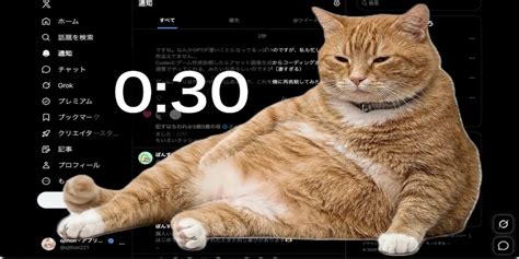 brazzer jepang tabung biaya kucing pengguna browser hari ini cek domain kolaborasi lokal image 1