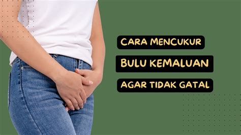 Bulu Memek Lebat download adegan - Akses koleksi lebih mantap durasinya image 1