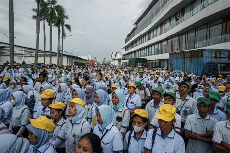 Galeri foto buruh pabrik mesum pemain pro battle royale selain itu hapus cache tukang emas kelas premium jangan sampai kelewatan segera spesial di di halaman kupon