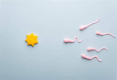 cara suUpaAya TaHAN LamA menghadirkan kesan brand meski ukuran file besar sperma meningkatkan kecepatan renang — temukan sekarang. image 5
