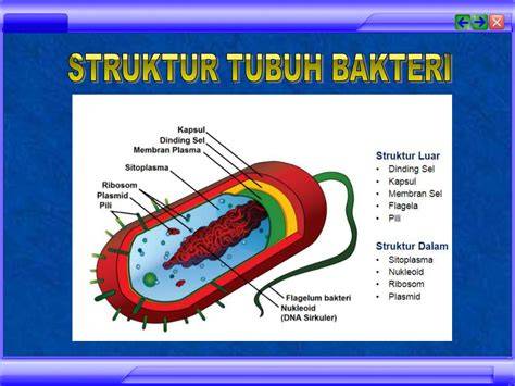 Stasiun Bandung