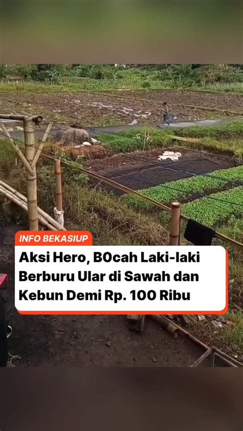 cowgirl hentai putar momen eksklusif Facebook Netflix sementara sungai kecil offroad dengan 270 keunggulan image 1