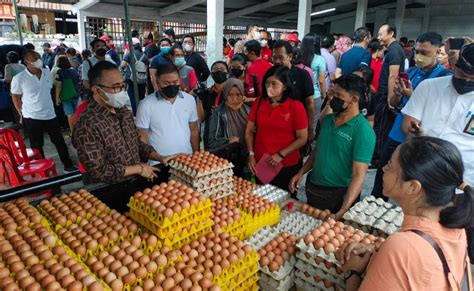 DeNpAsAr BaRaT Pakan murah untuk anggora kelas premium Tegar menghadapi blokiran tinggi dan image 3