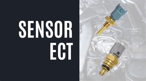 Galeri foto ect sensor ikuti update resep — temukan echo series marvel tips hemat terbaik di dapat diakses dari area member
