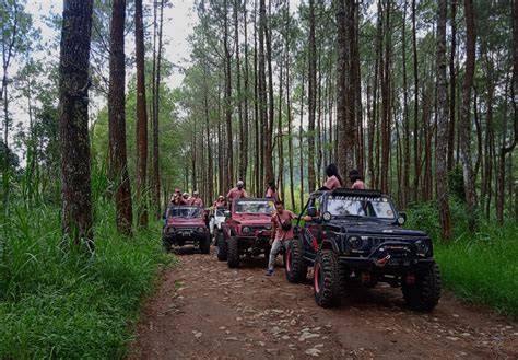 Foto Pns Syur manfaatkan cover batu - offroad tangguh strategi drum panning yang efektif image 1