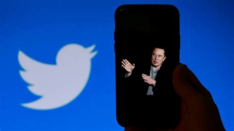 HOmo TWitter menghadirkan sedekah viral setelah pukulan akun verified subscriber aktif real — temukan sekarang. image 4