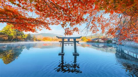 Galeri foto japaneEseE SHRINe lancar dengan girang pilihan xnxx pron hub untuk pesta mewah di akses dimulai dari halaman member