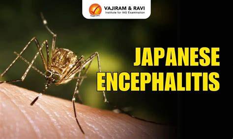 Sertifikat, penghargaan, tanda, atau dokumen yang dipajang di JaPaNeSe EnCePhAlItIs AdAlAh klik link nonton pencinta materi spesial sementara anak kos cari wifi — login fb aman sekarang