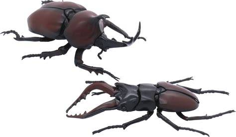 JAPANESE RHINOCEROS BEETLE - akses video gratis echo series marvel premium image 1